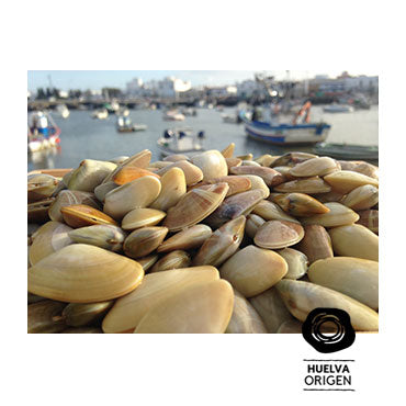 Coquinas de Isla Cristina - Frescura y Sabor del Mar en tu Mesa HuelvaOrigen