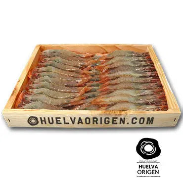 Gamba de Huelva Plancha Extra HuelvaOrigen