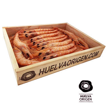 Gamba Blanca de Huelva Cocida Extra HuelvaOrigen