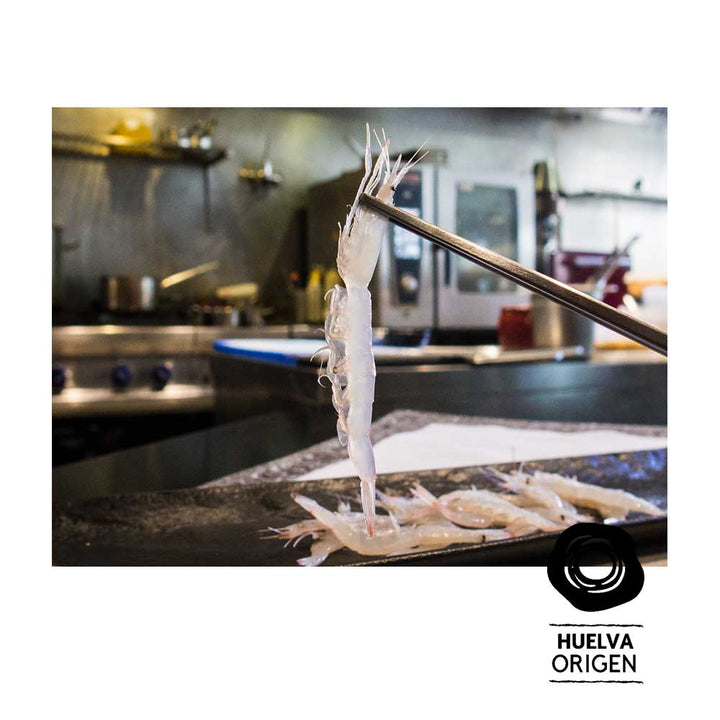 Gamba Cristal HuelvaOrigen