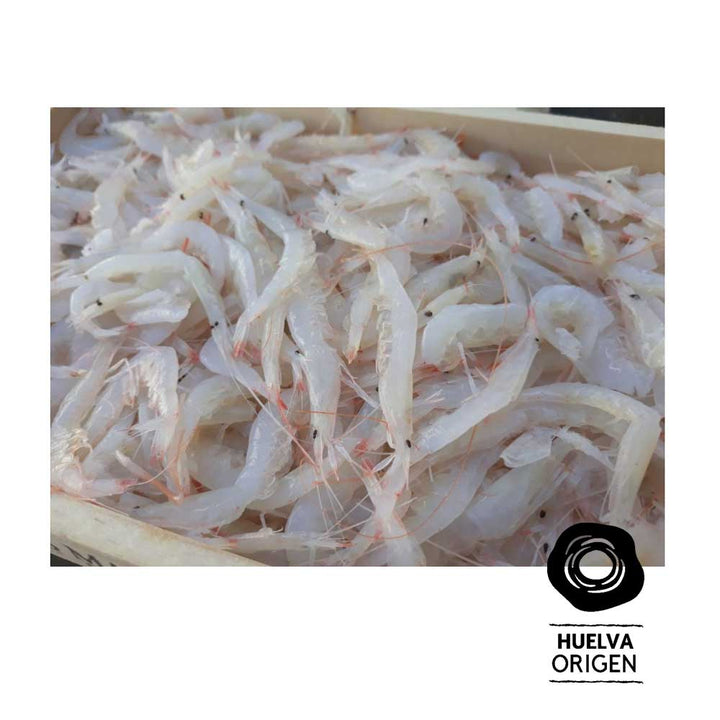 Gamba Cristal HuelvaOrigen